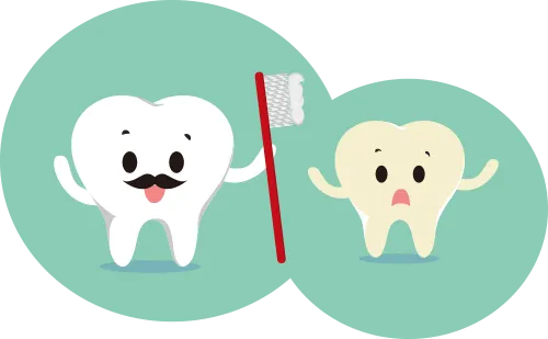 子供の歯大人の歯