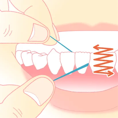 デンタルフロスの使い方