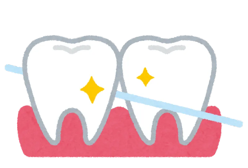 フロスと歯間ブラシの併用で効率的にプラークコントロールを