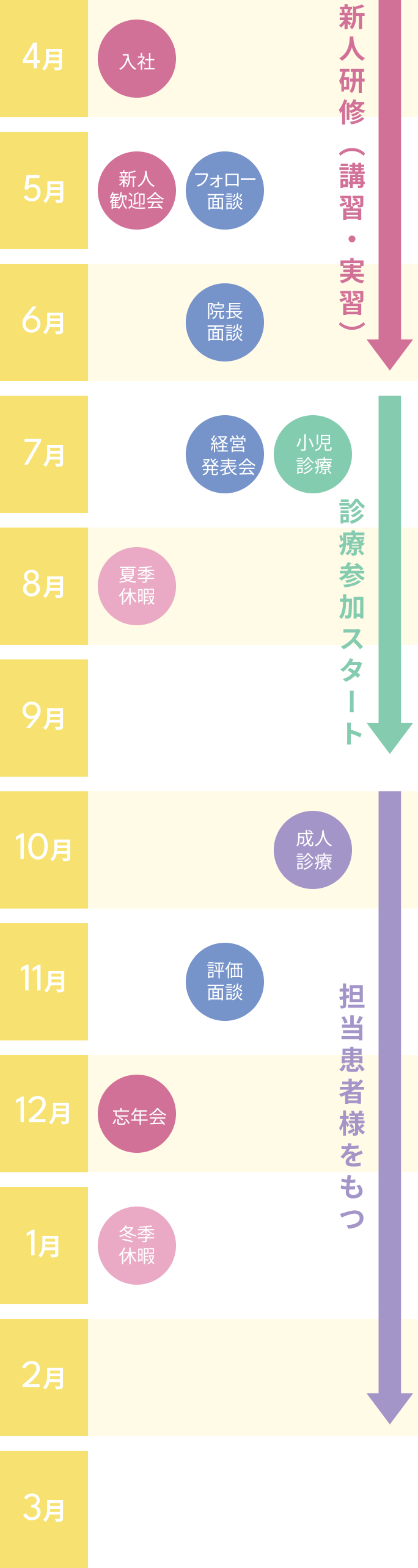 入職後のキャリアプランの流れ