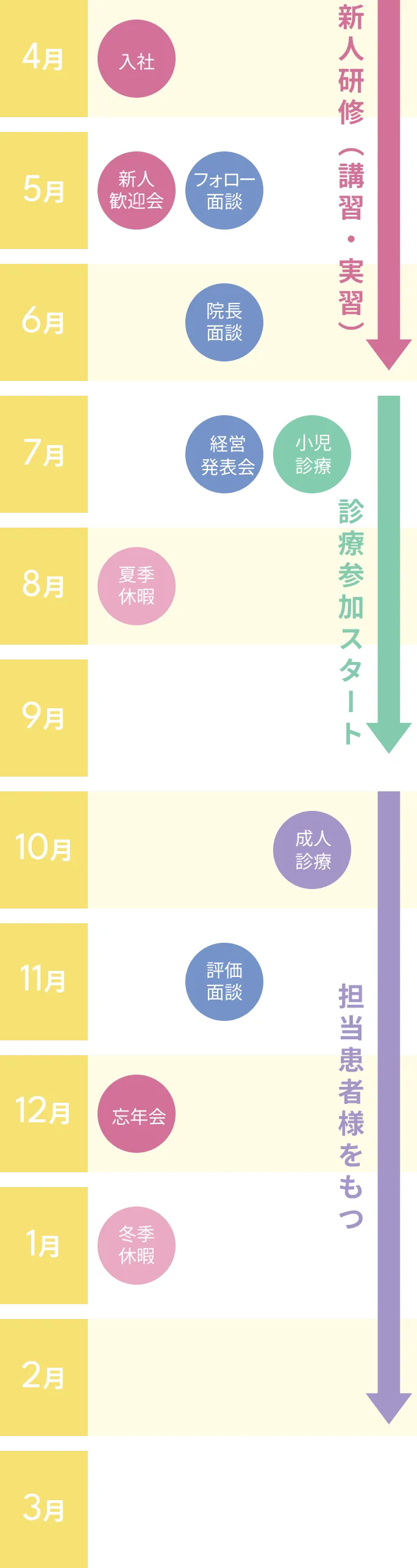 入職後のキャリアプランの流れ
