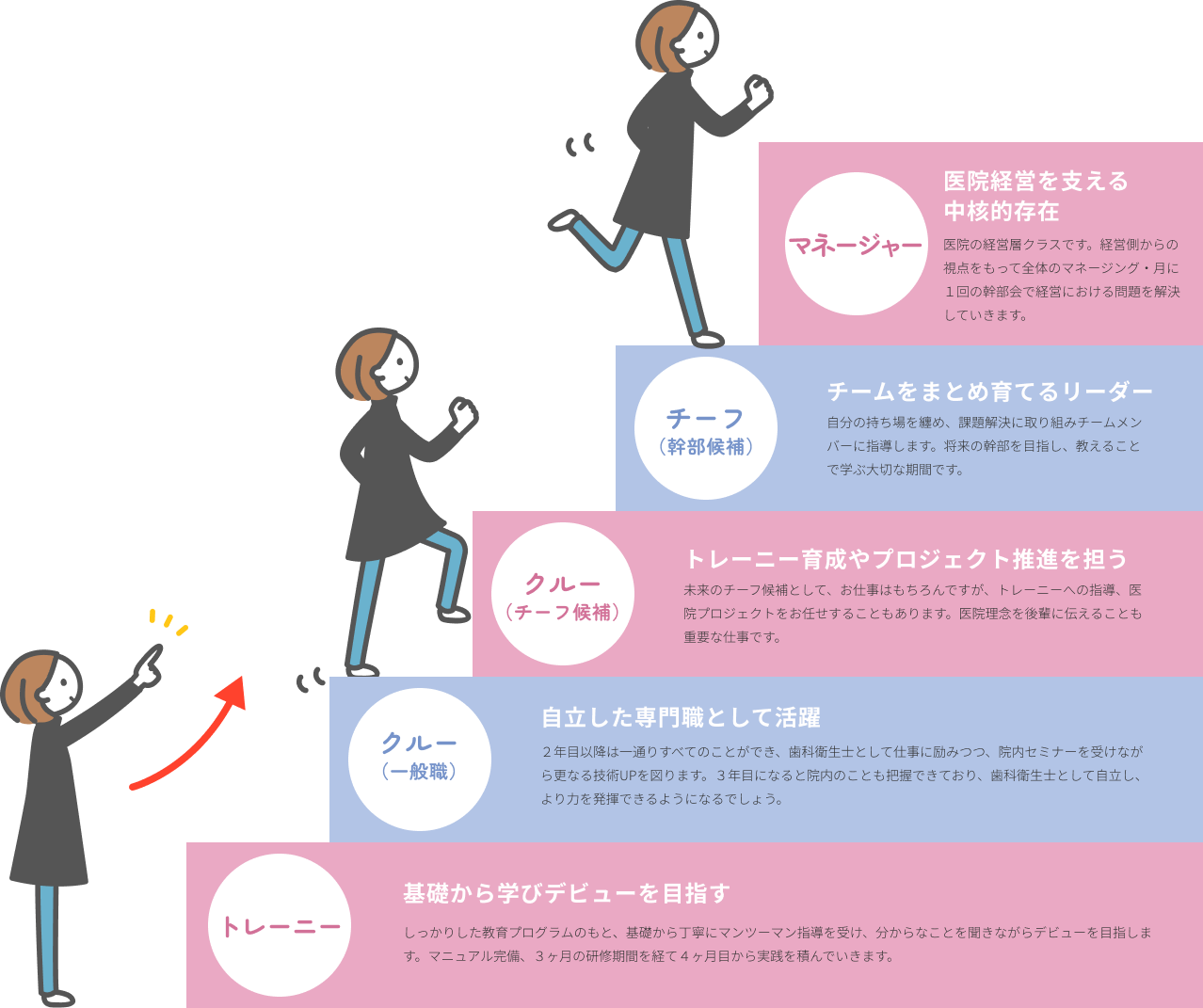 キャリアステップ図