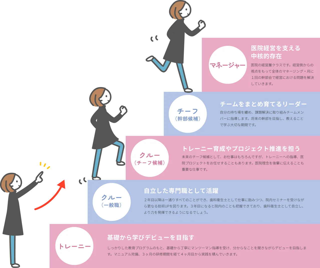 キャリアステップ図